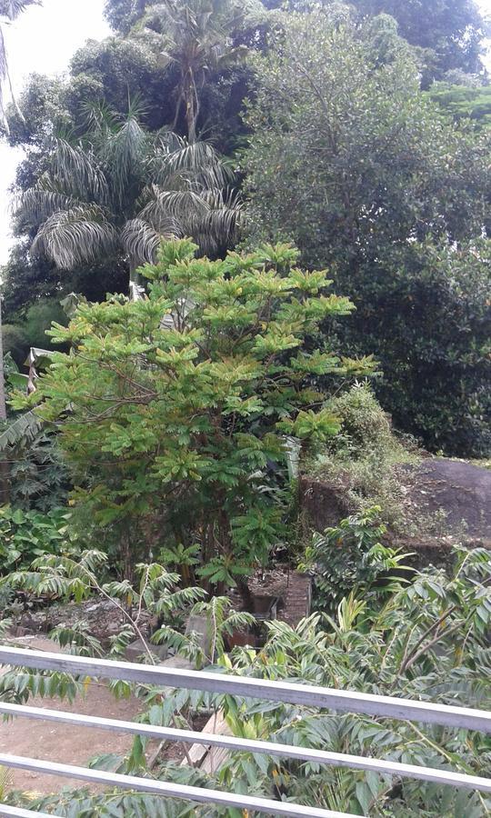 Hotel Madu Sentana House Ubud Exterior foto